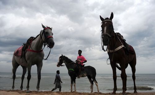 کرایه دهنده اسب در انتظار مشتری – ساحل چنای در هند