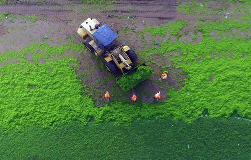 ساحل چینگداو در شرق چین