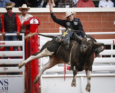 مسابقات گاو سواری در کالگاری کانادا