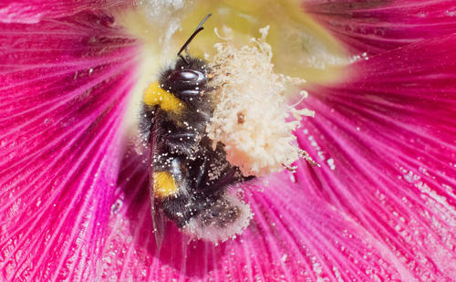 پاسخ به: دیدنی های روز