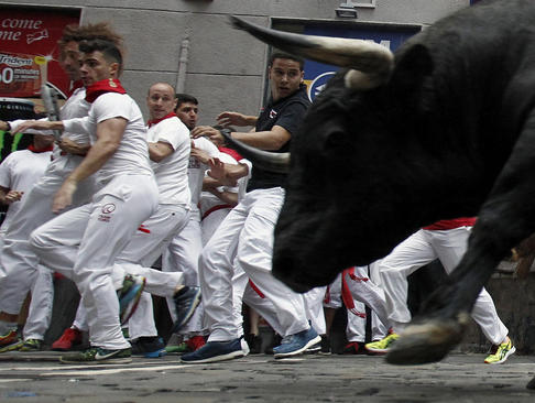 فرار از شاخ های گاو در جشنواره گاو بازی سان فرمین در پامپلونا اسپانیا