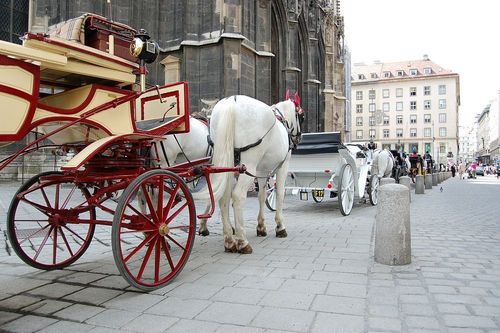 اسب تاکسی ها در شهر وین- اتریش