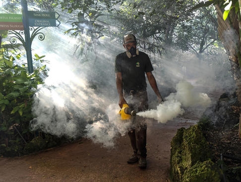 سم پاشی برای مقابله با پشه های ناقل ویروس زیکا در شهر میامی ایالت فلوریدا آمریکا