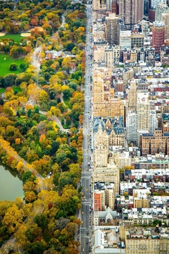 فاصله شهر و طبیعت در نیویورک
