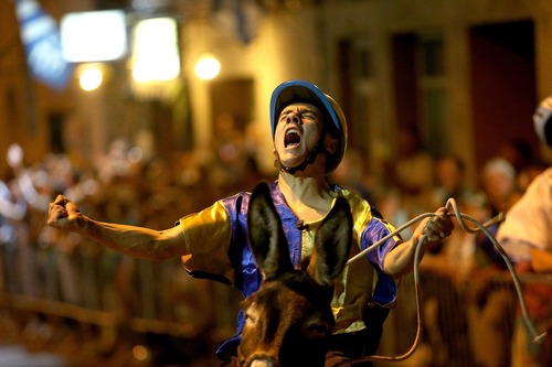  شادمانی برنده مسابقات الاغ سواری در توسکانی ایتالیا