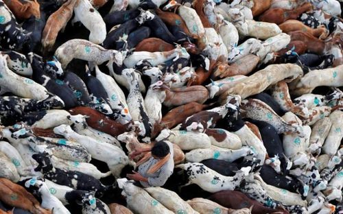 پاسخ به: دیدنی های روز