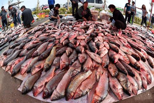 بازار ماهی فروشان در کنار رودخانه دیانچی در استان کانمینگ چین