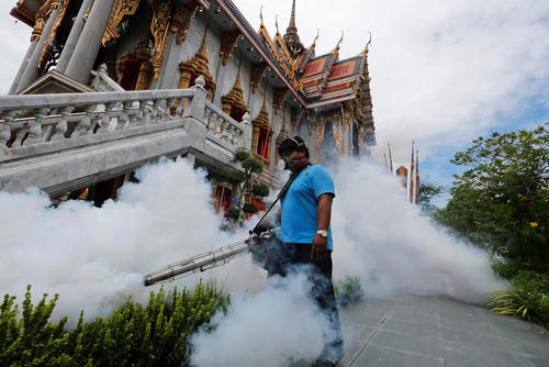 سم پاشی برای مقابله با پشه های حامل ویروس زیکا – شهر بانکوک تایلند