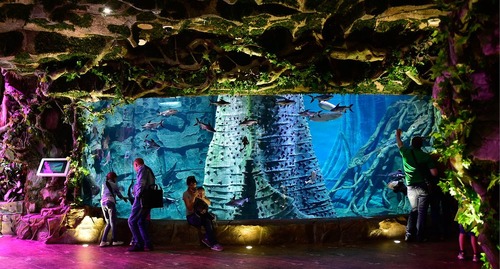 آکواریوم شهر ولادی وستک روسیه