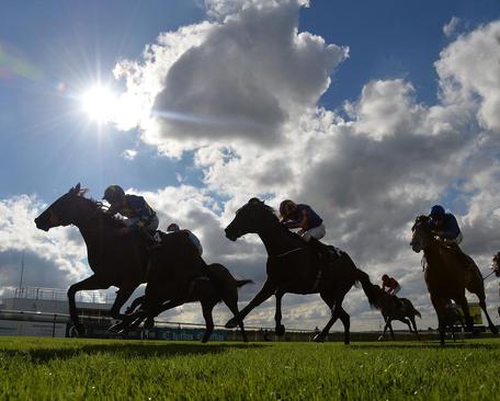 مسابقات اسب سواری – انگلیس