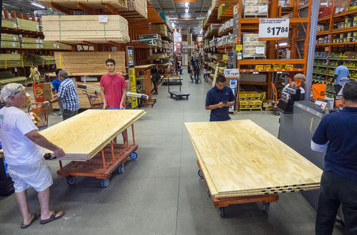 خرید چوب برای مستحکم سازی خانه ها در برابر توفان مهیب متیو – پالم بیچ فلوریدا آمریکا
