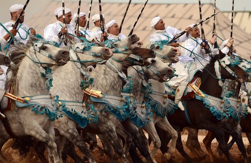مسابقات سنتی اسب سواری در شهر بندری الجدیده مراکش
