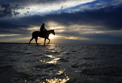 اسب سواری در ساحل آلتونا در شهر ملبورن استرالیا
