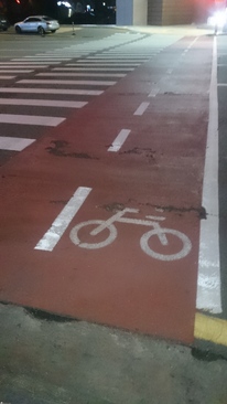 در خیابان ها، در کنار خط عابر پیاده، خط قرمز رنگی برای عبور دوچرخه ها از عرض خیابان هم ایجاد شده .
سئول