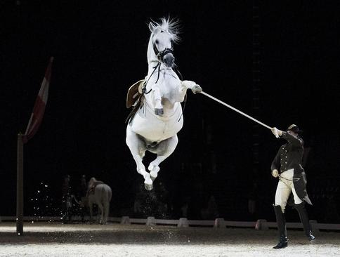 نمایش اسب سواری در چهارصدو پنجاهمین سالگرد تاسیس مدرسه اسپانیایی اسب سواری در لندن – ویمبلی