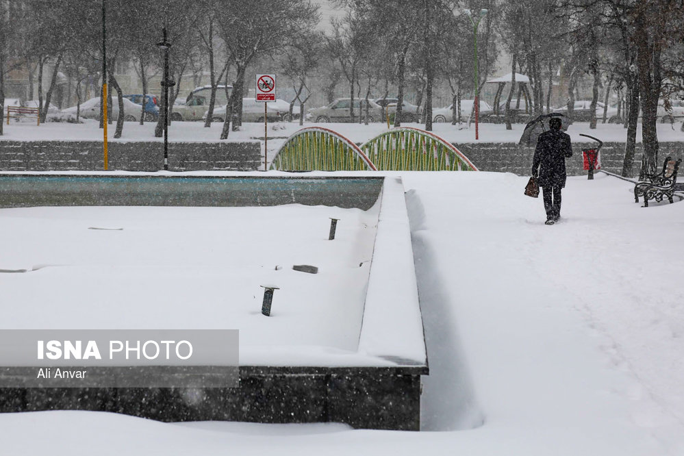 الثلوج فی مدینه اردبیل - شمال شرق ایران (صور)