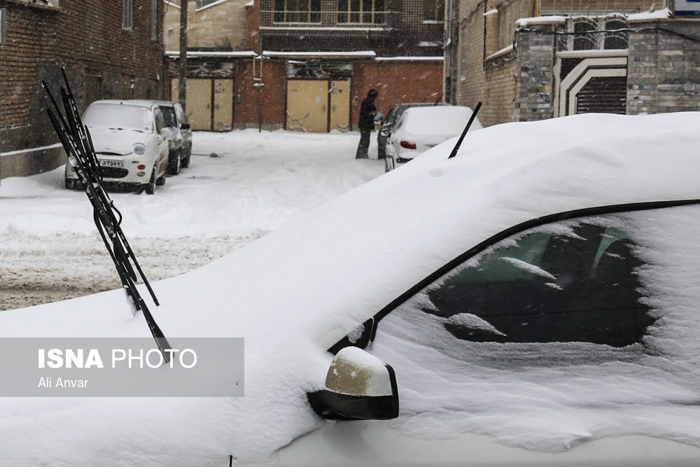 الثلوج فی مدینه اردبیل - شمال شرق ایران (صور)
