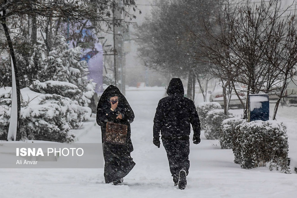 الثلوج فی مدینه اردبیل - شمال شرق ایران (صور)
