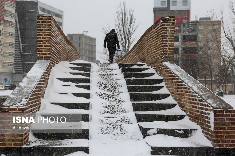 الثلوج فی مدینه اردبیل - شمال شرق ایران (صور)