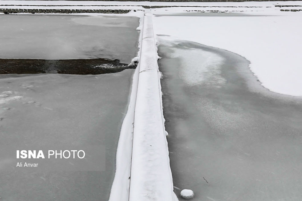 الثلوج فی مدینه اردبیل - شمال شرق ایران (صور)