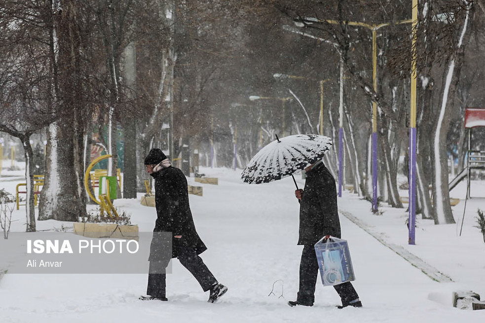 الثلوج فی مدینه اردبیل - شمال شرق ایران (صور)