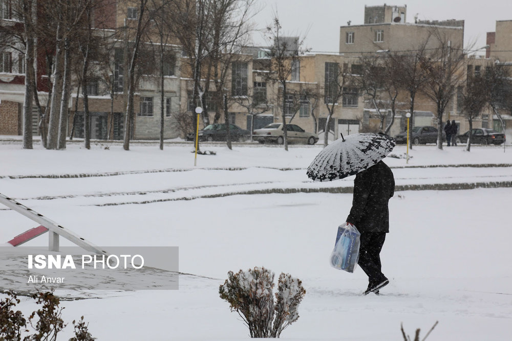 الثلوج فی مدینه اردبیل - شمال شرق ایران (صور)
