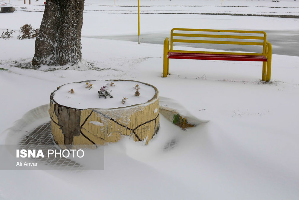 الثلوج فی مدینه اردبیل - شمال شرق ایران (صور)