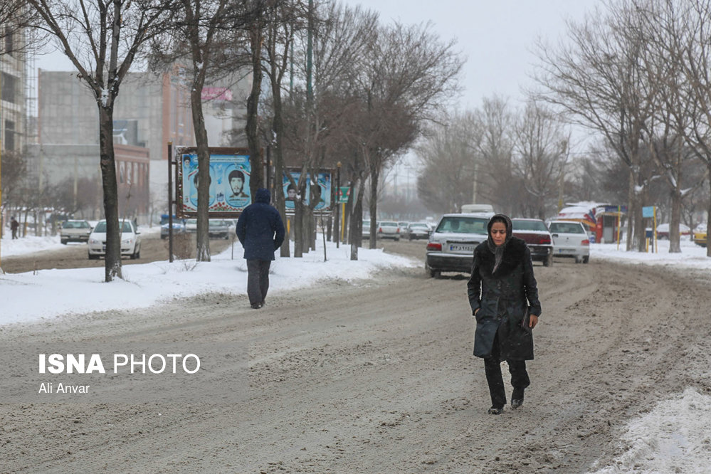 الثلوج فی مدینه اردبیل - شمال شرق ایران (صور)