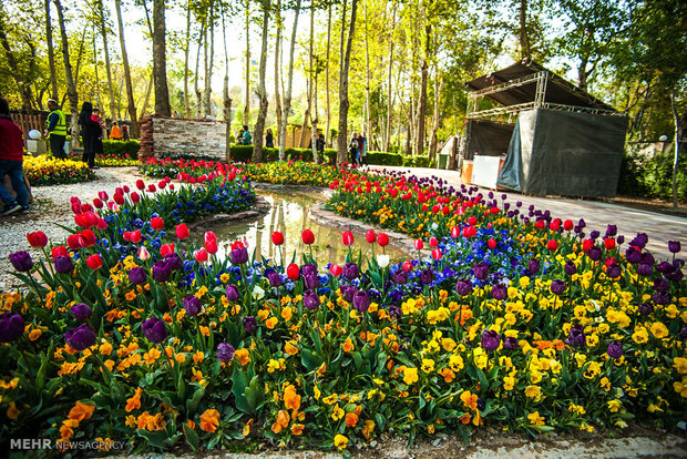 مهرجان زهور التوليب - محافظة البرز