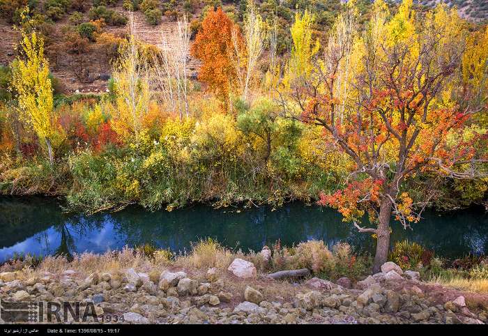 قرية توت شامي - کرمانشاه - إيران (صور)