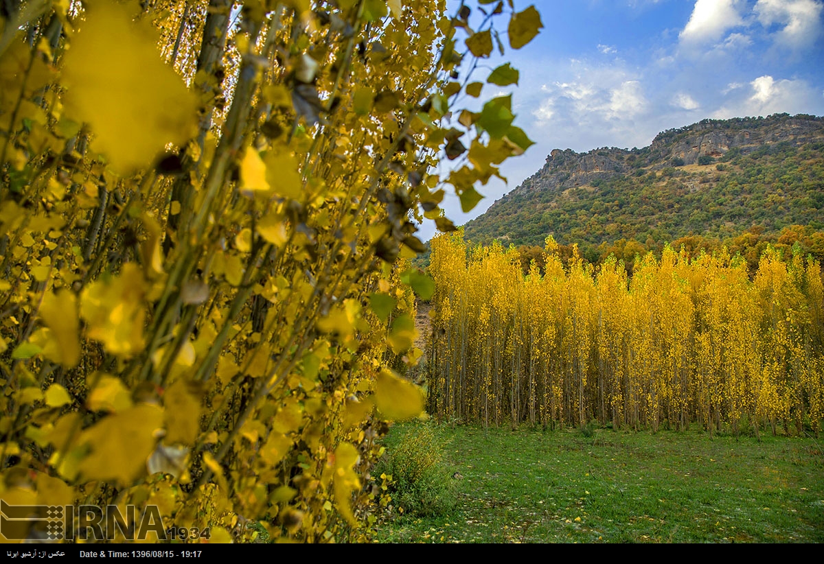 قرية توت شامي - کرمانشاه - إيران (صور)