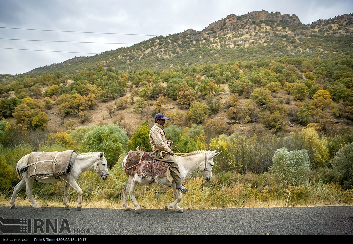 قرية توت شامي - کرمانشاه - إيران (صور)