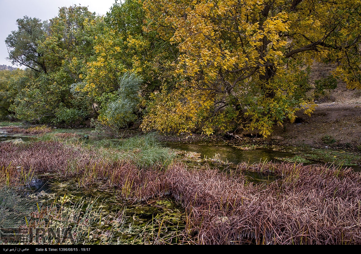 قرية توت شامي - کرمانشاه - إيران (صور)