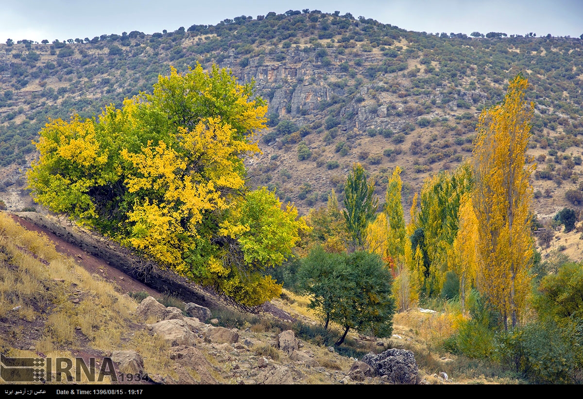 قرية توت شامي - کرمانشاه - إيران (صور)