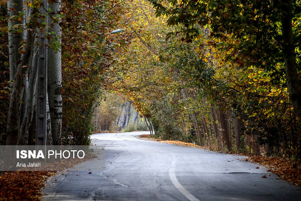 الطبیعة علی ضفة نهر 