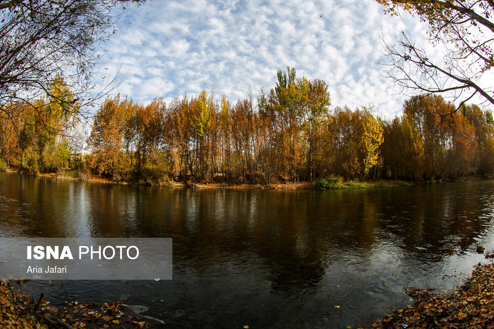 الطبیعة علی ضفة نهر 