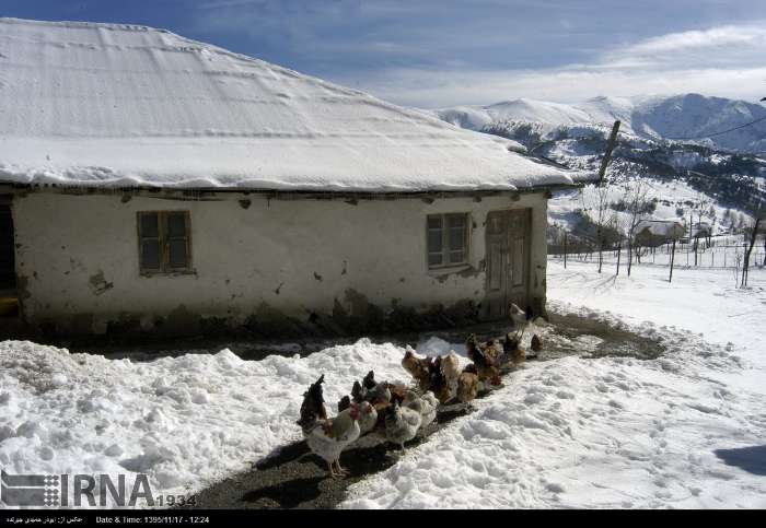 مدينة رودبار في محافظة كيلان - شمال إيران (صور)