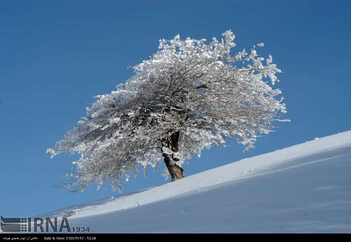 مدينة رودبار في محافظة كيلان - شمال إيران (صور)