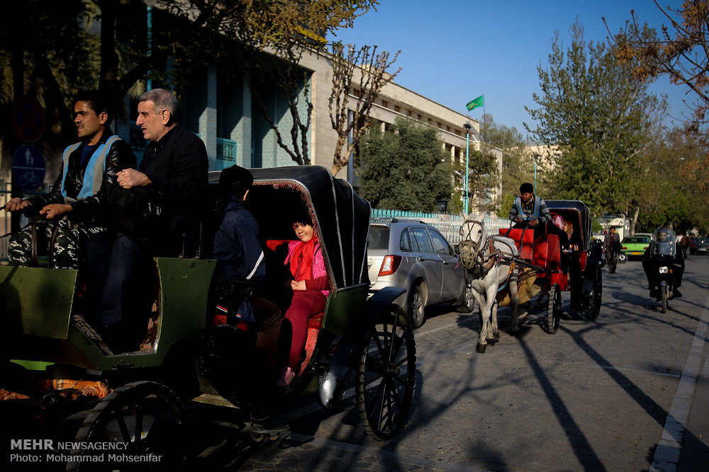 الحياة اليومية في طهران (صور)