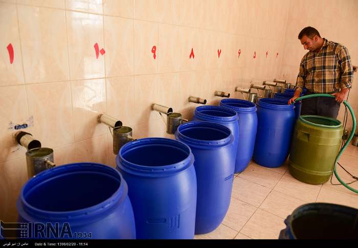 قطف الورد الجوری - محافظة فارس - ايران (صور)