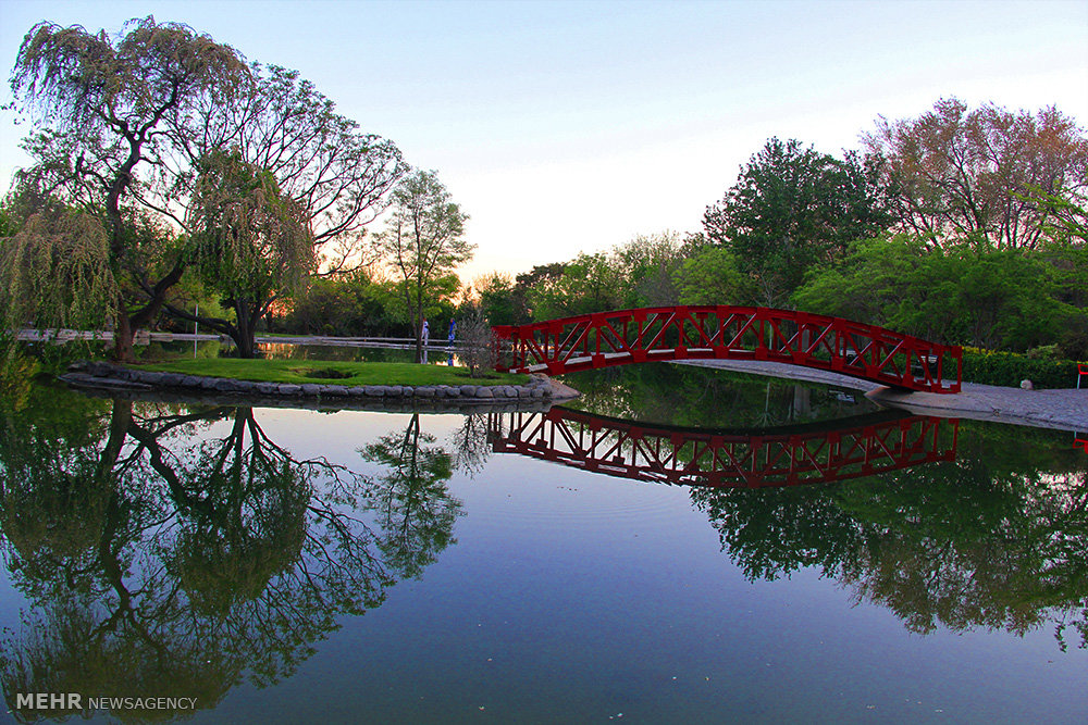 الحديقة الوطنية للعلوم النباتية - طهران (صور)