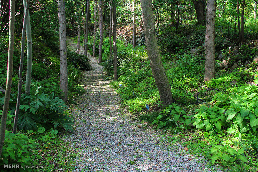 الحديقة الوطنية للعلوم النباتية - طهران (صور)