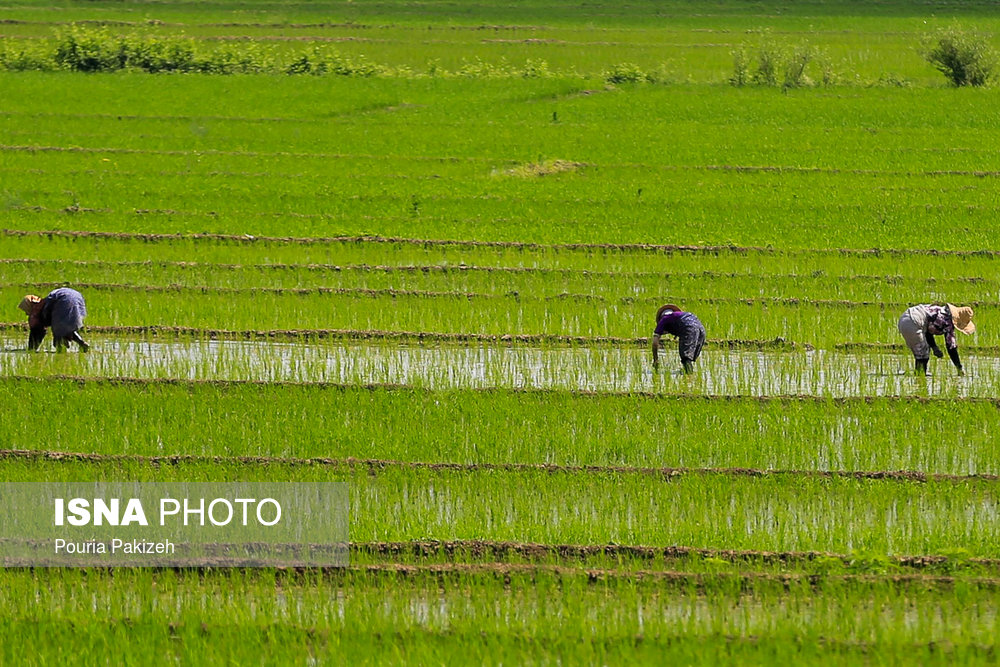 ماسال - محافظة كيلان - شمال إيران (صور)