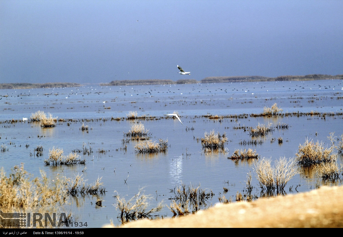 هور العظيم - محافظة خوزستان - جنوب غرب إيران (صور)