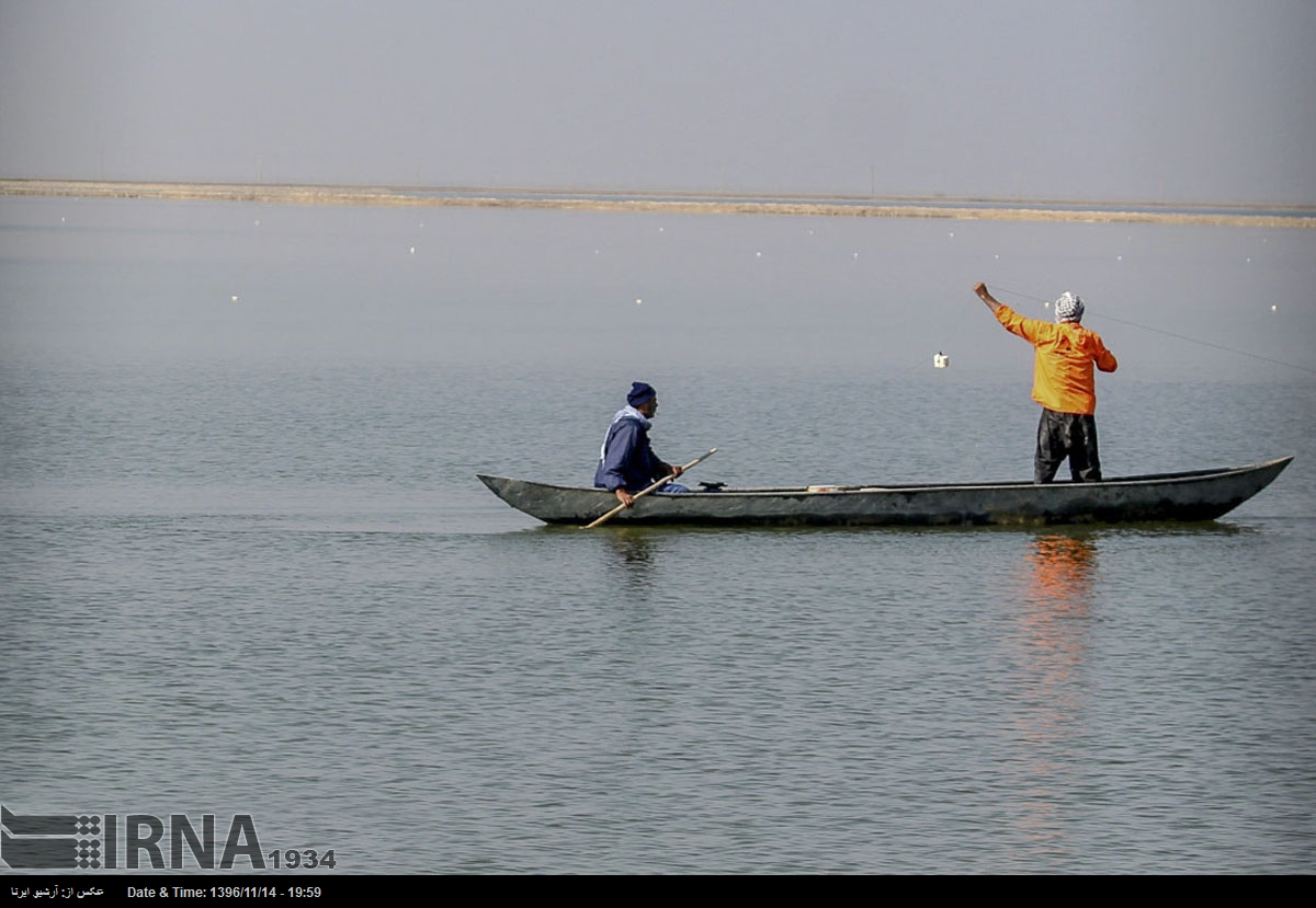 هور العظيم - محافظة خوزستان - جنوب غرب إيران (صور)