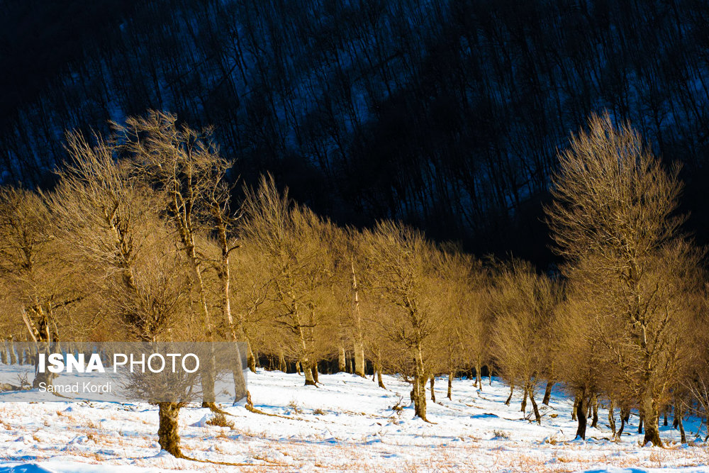 الطريق الثلجي من 