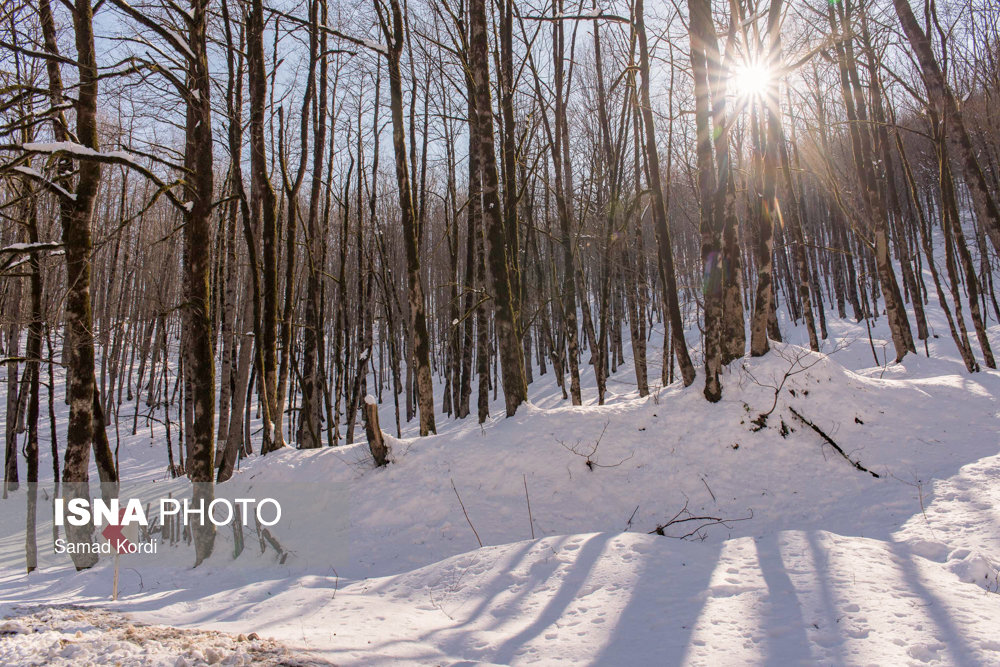 الطريق الثلجي من 