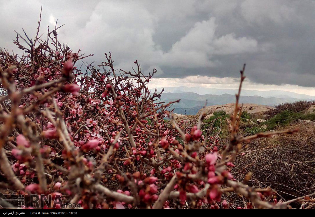 طبيعة منطقة 