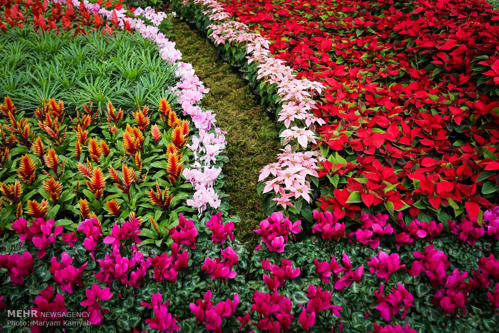 المعرض الدولي للزهور والنباتات في طهران (صور)