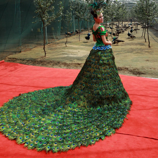 لباس عروس با پر طاووس